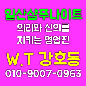 일산샴푸나이트 근처 바 추천